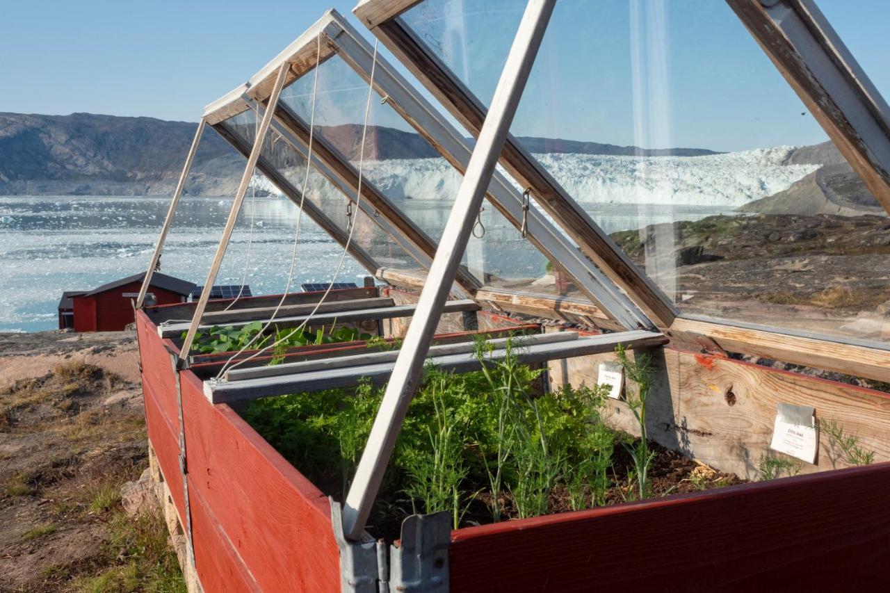 Glacier Lodge Eqi Ιλούλισσατ Εξωτερικό φωτογραφία